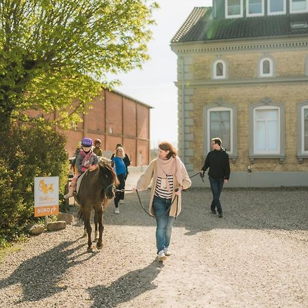 Buedlfarm - Der Familien-Erlebnishof In Strandnaehe Fehmarn Buitenkant foto