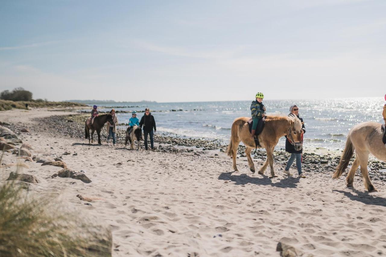 Buedlfarm - Der Familien-Erlebnishof In Strandnaehe Fehmarn Buitenkant foto