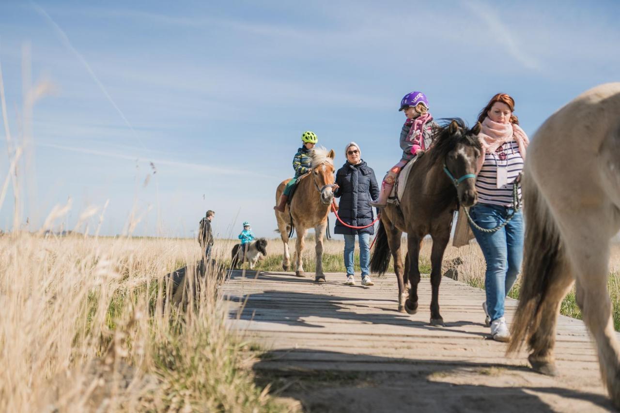 Buedlfarm - Der Familien-Erlebnishof In Strandnaehe Fehmarn Buitenkant foto