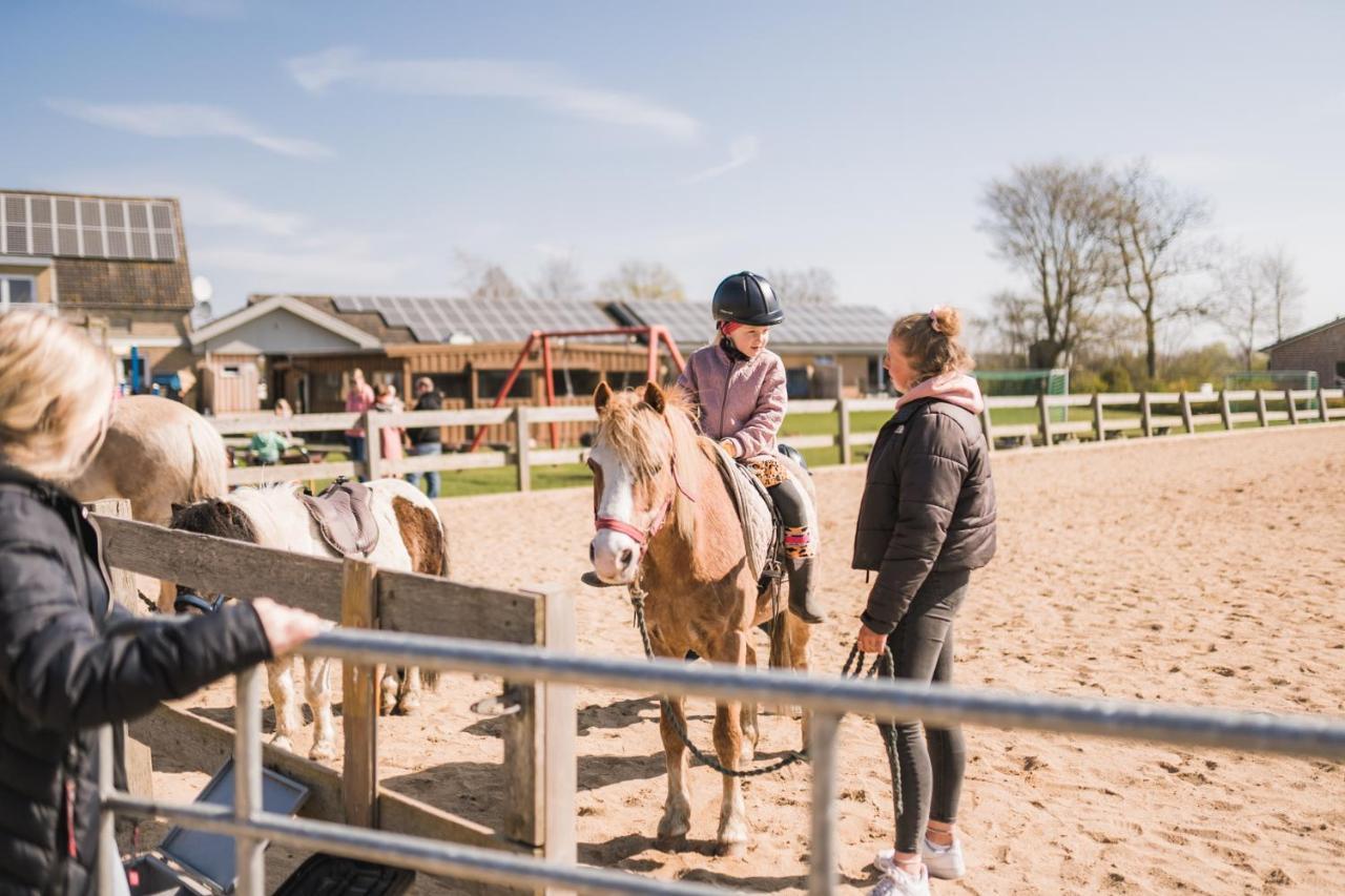 Buedlfarm - Der Familien-Erlebnishof In Strandnaehe Fehmarn Buitenkant foto