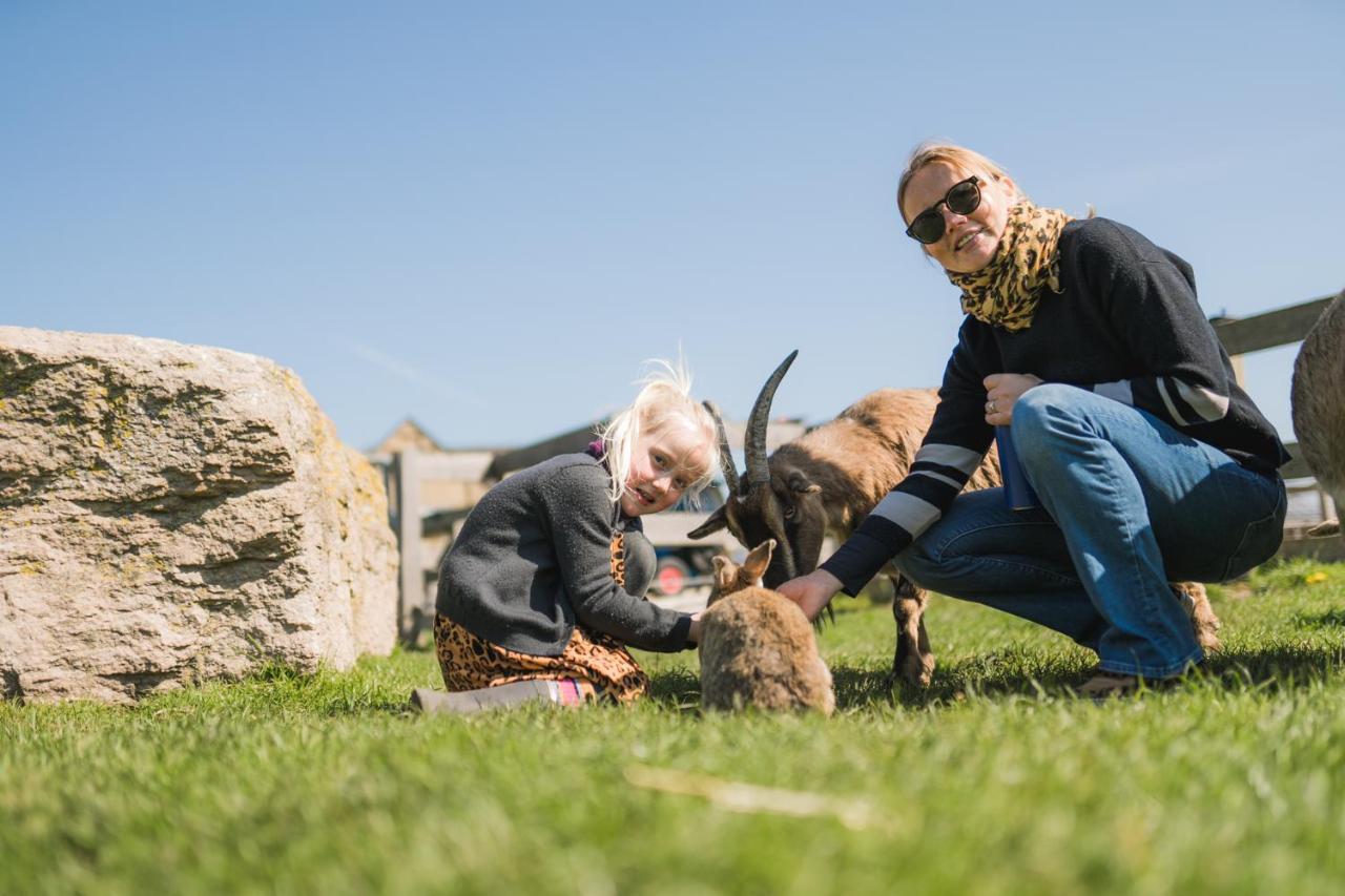 Buedlfarm - Der Familien-Erlebnishof In Strandnaehe Fehmarn Buitenkant foto